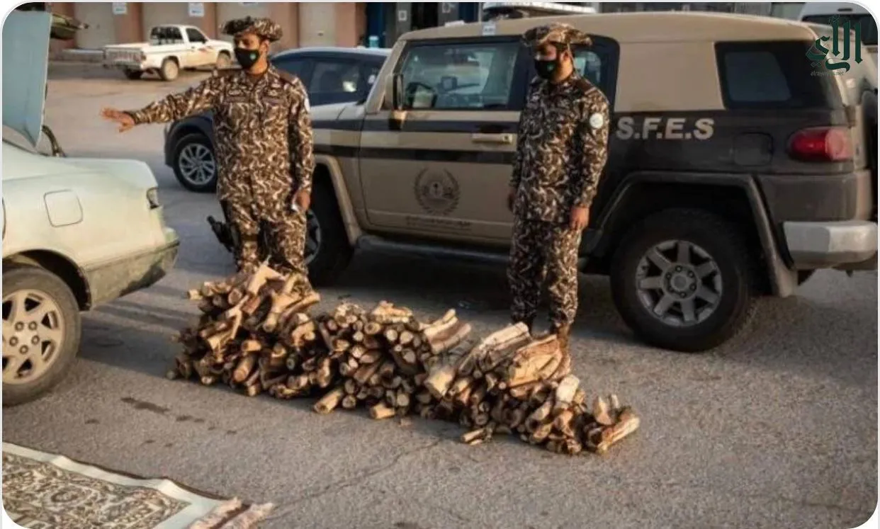 القوات الخاصة للأمن البيئي