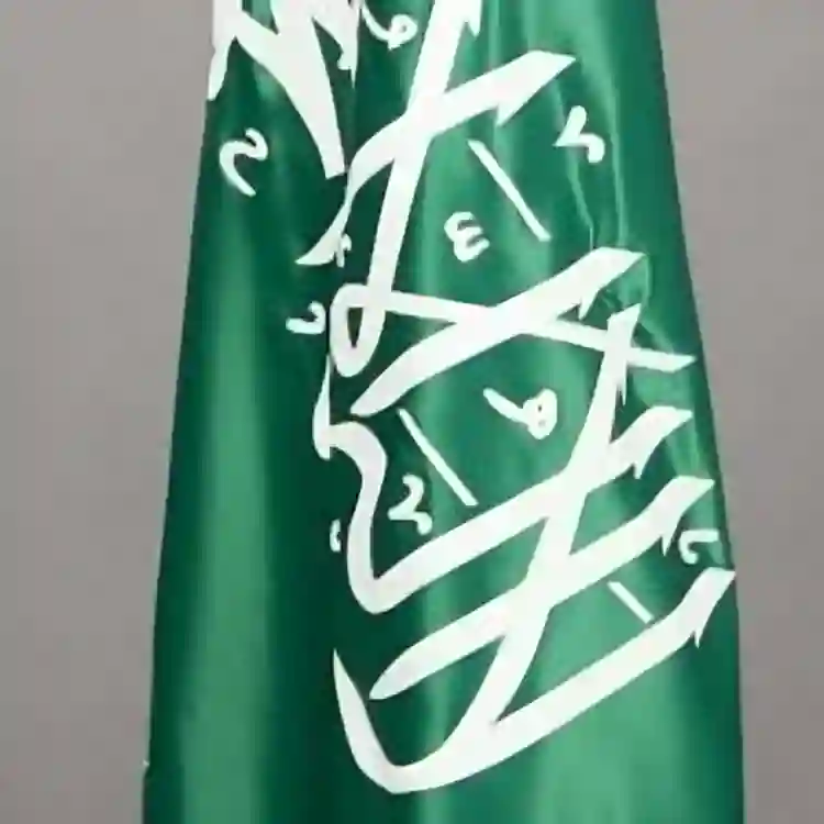 السعودية تتصدر الخدمات الحكومية الرقمية