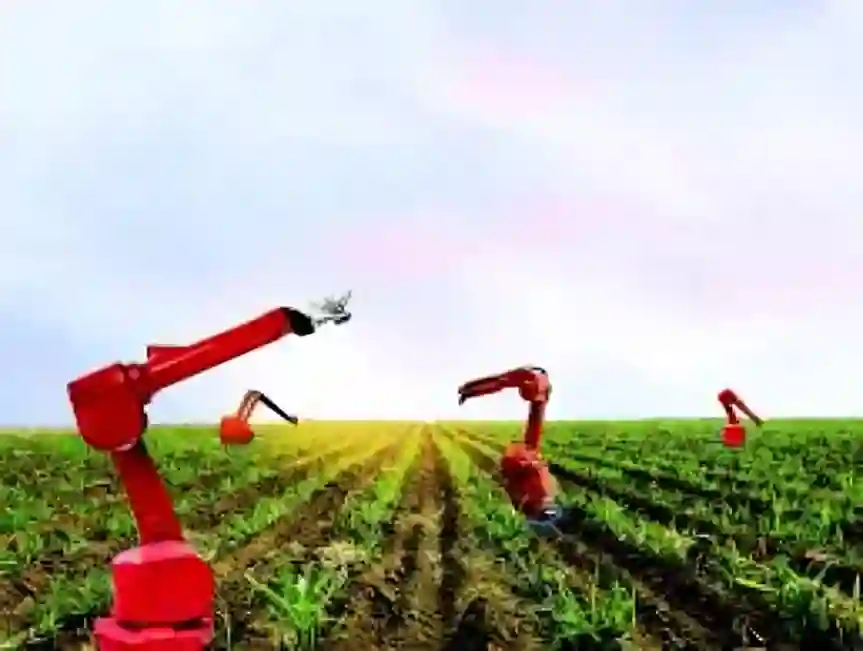 الزراعة توصي بالتسميد الذكي