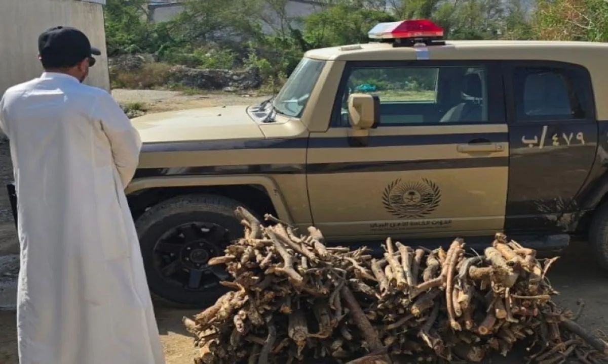 مجاهدون لحماية البيئة