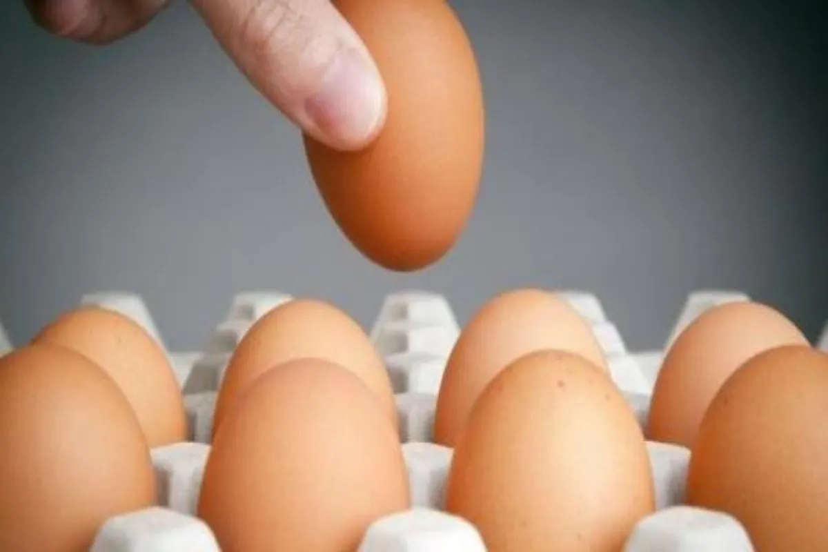 السعودية تحظر استخدام البيض