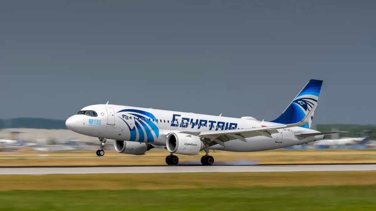 النحل المصري يحلق إلى السعودية عبر رحلات مصر للطيران لنقل الشحنات الحيوية