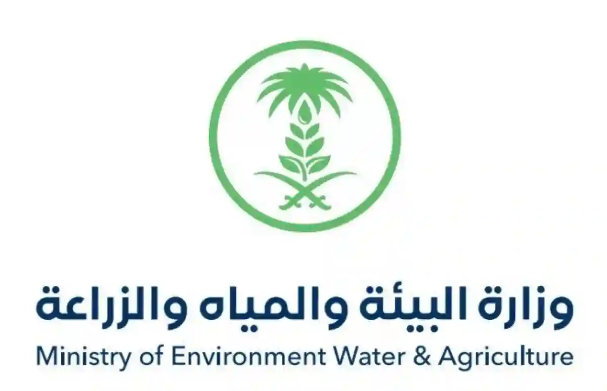 وزارة البيئة تحدد معايير جديدة لتغليف الخضار والفواكه لضمان سلامة المستهلك